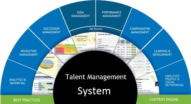 How to use Talent Management Benefit Your Organizations