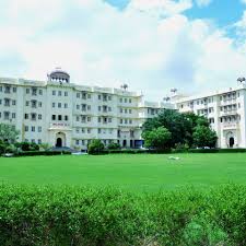 Dr KN Modi University Tonk recruiting faculty posts via Walk In Interview