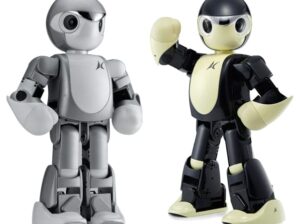 Govt of India taskforce on Artificial Intelligence invites public opinion; IIT Madras professor is head of panel