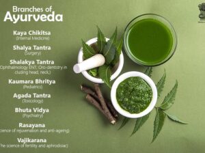 Government will set up Cancer Research Institute in Ayurveda in Mumbai: AYUSH Minister