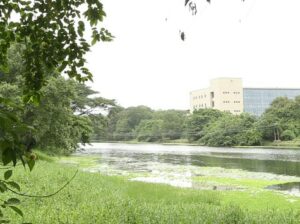 IIM Calcutta introduces Executive Programme in Business and Corporate Laws (EPBCL)