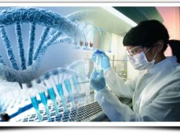 Application Portal Opens for Biotechnology Eligibility Test 2023 & Graduate Aptitude Test Biotechnology 2023