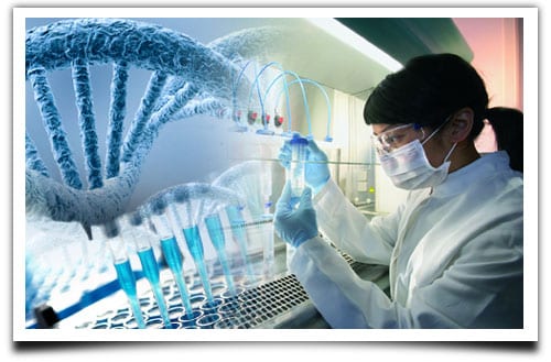 Application Portal Opens for Biotechnology Eligibility Test 2023 & Graduate Aptitude Test Biotechnology 2023