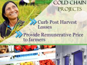 Food processing sector to create nine million jobs by 2024: ASSOCHAM Study
