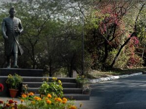 JNU faculty post recruitment drive as 98 posts available: Apply now