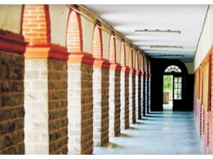 Recruitment of 78 Assistant Professors by Miranda House College of University of Delhi ! Closing Date Extended