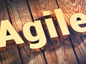 India is a leader in embracing the power of Agile and DevOps to unleash business benefits