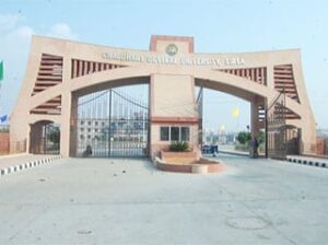 Chaudhary Devi Lal University Sirsa Recruiting 53 Faculty Posts Including 21 Assistant Professors