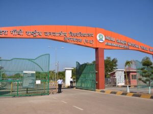 Indira Gandhi National Tribal University recruiting 81 Faculty Posts including 37 Assistant Professors