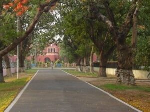 JRF Admission 2018-19 open in IIT (Indian School of Mines) Dhanbad