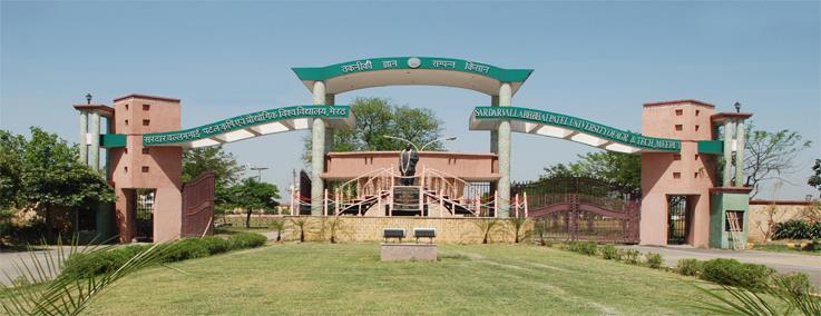 College of Technology of SVPUAT Meerut recruiting 35 Faculty Posts including 24 Assistant Professors