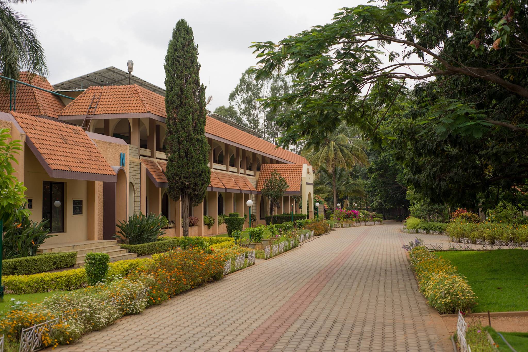National Institute of Advanced Studies (NIAS) Bangalore Announces PhD Admission ! Online Test