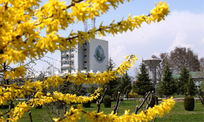 University of Kashmir Recruiting 132 Assistant Professors for More Than 40 Subjects