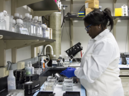 Becoming a Sterile Processing Technician: Training and Career Guide