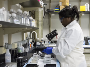 Becoming a Sterile Processing Technician: Training and Career Guide