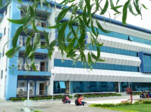 Opportunities for PhD Holders as Three INIs Recruiting More Than 40 Assistant Professors